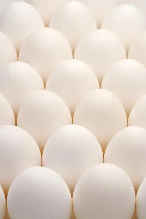 新鲜鸡蛋图片第7张