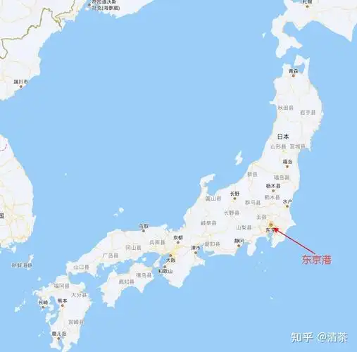 深圳到东京海运各个船司优势对比