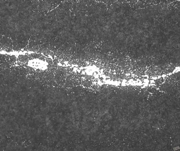 精致的碳化物液析金相照片