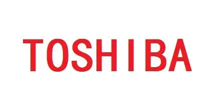 东芝电梯中国有限公司广东分公司