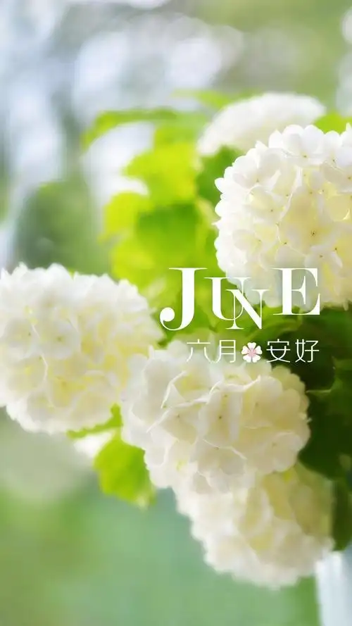 六月你好,你好六月,清新,唯美,壁纸时光清浅,六月安好