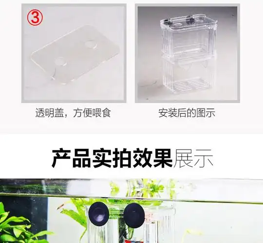 隔离斗鱼鱼苗产卵器孔雀鱼繁殖盒幼鱼鱼缸热带鱼亚克力孵化盒