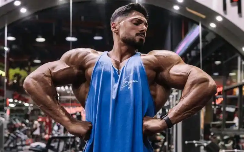 安德烈德尤andrei deiu转古典健美