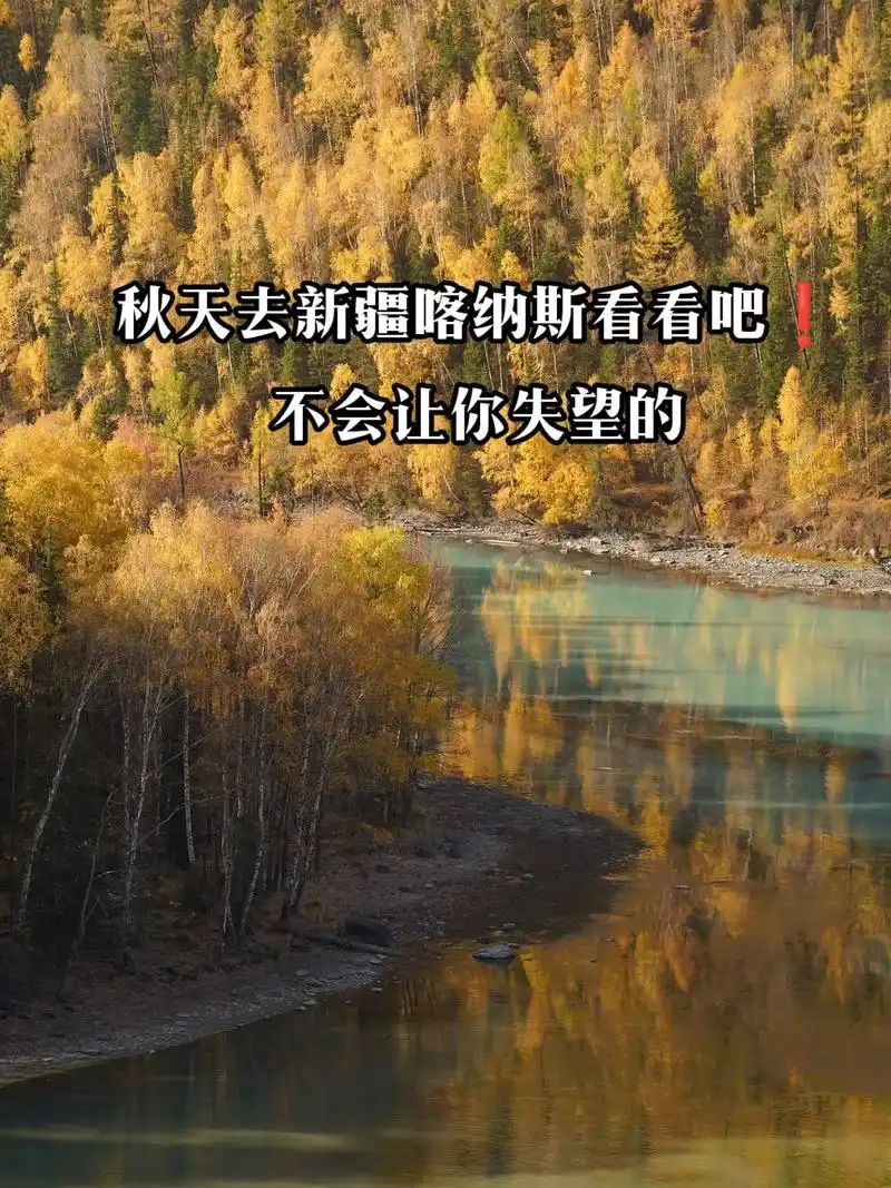 秋天去新疆喀纳斯看看吧7515不会让你失望的.