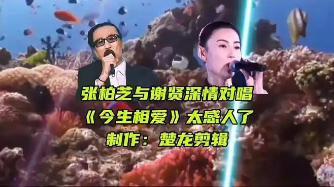 张柏芝与谢贤对唱《今生相爱》动听,感人,值得欣赏-音乐视频-搜狐视频
