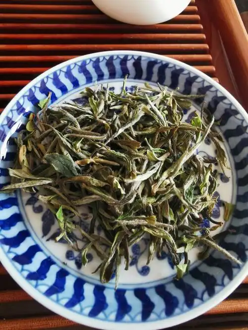 福鼎白茶之特级贡眉