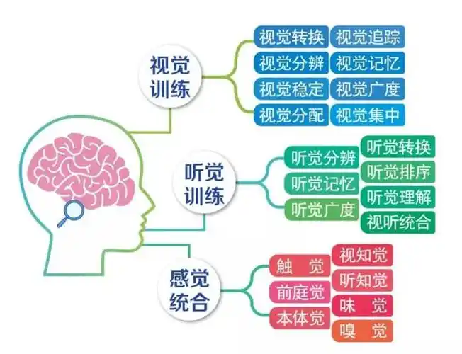 1600训练游戏开学从视觉听觉感统全方位提升孩子专注力