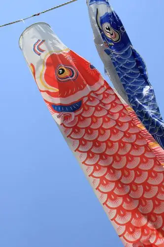 日本节日庆祝的鲤鱼旗图片 - 第7张
