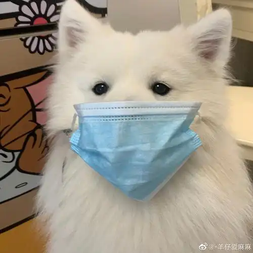 请问有没有戴口罩小狗勾图片
