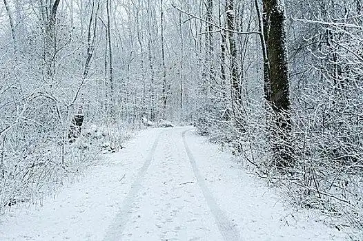 鹅毛大雪_鹅毛大雪图片