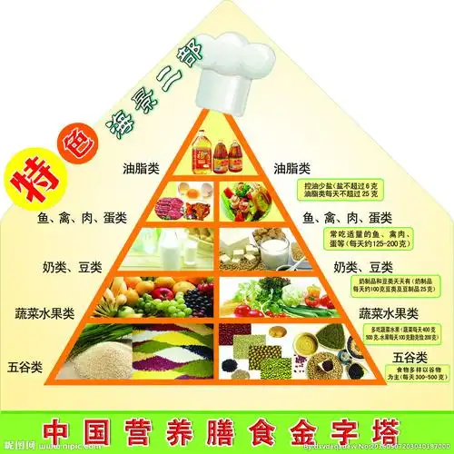 健康饮食金字塔 均衡饮食是维持健康的要素,我们应依照健康饮食金字塔