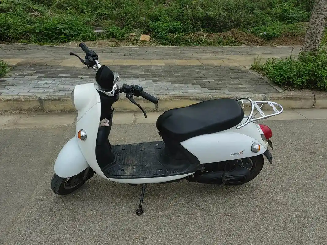 全品牌准新电动车价格便宜,小绿牌龟车,发票齐全,证件齐全,续 - 抖音