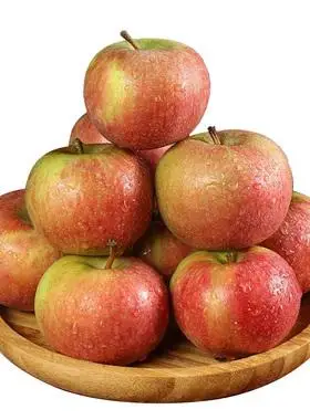 小国光苹果笨果新鲜水果正宗国光苹果瓦房店不打蜡不套袋 5斤包邮