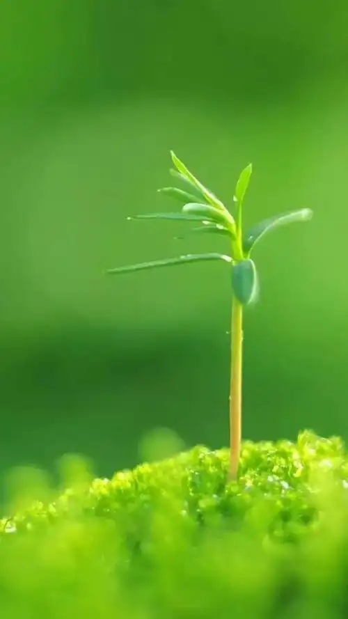 640_1138竖版 竖屏