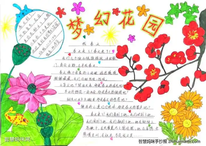 我的秘密花园手抄报简单又漂亮10张