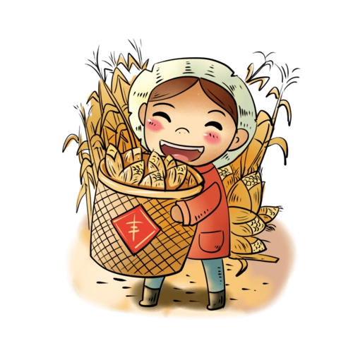 大同市高粱收购价创历史新高