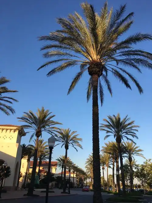 洛杉矶登山美景