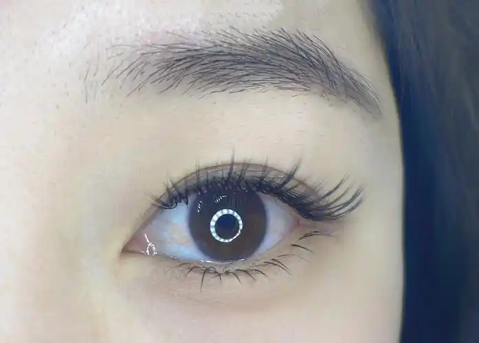 国风款美睫～#网红睫毛 #睫毛嫁接款式效果图 #漫画款睫毛效 - 抖音