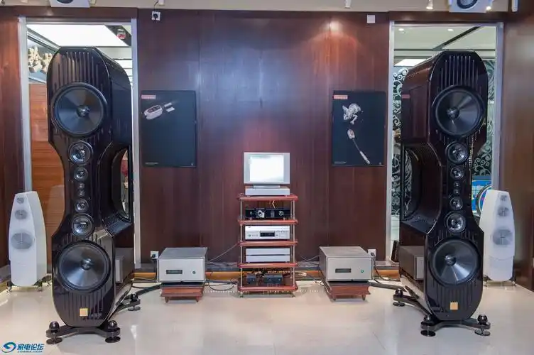 巨型专业音箱的魅力≡ 家电类≡hi-fi 音响_家电论坛 - 家电联盟!
