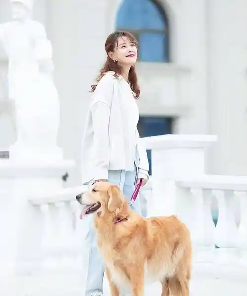 周海媚终于安心!