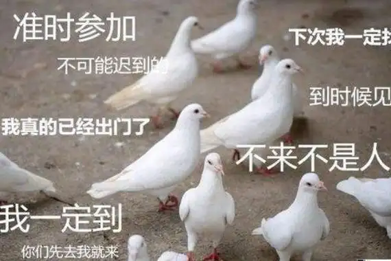 下次一定的梗是什么意思?下次一键三连,源于药水哥视频