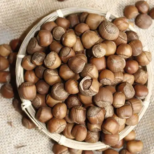 榛子小号东北野生坚果炒货开口手拍风选饱满榛子