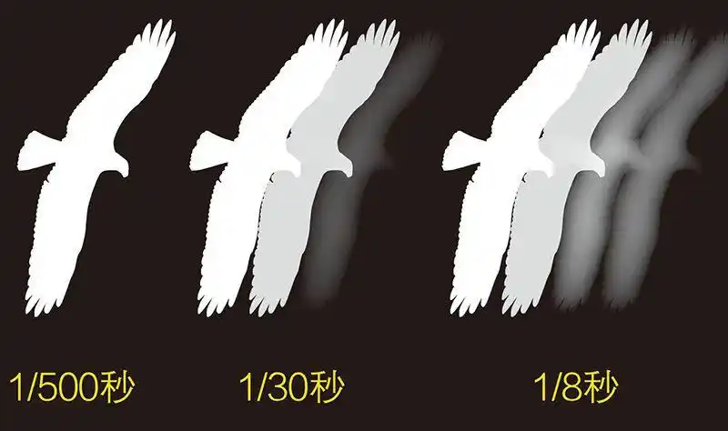 单反快门速度到底什么是快门速度