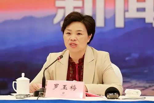 绥宁县委副书记,县长罗玉梅发布新闻并回答记者提问