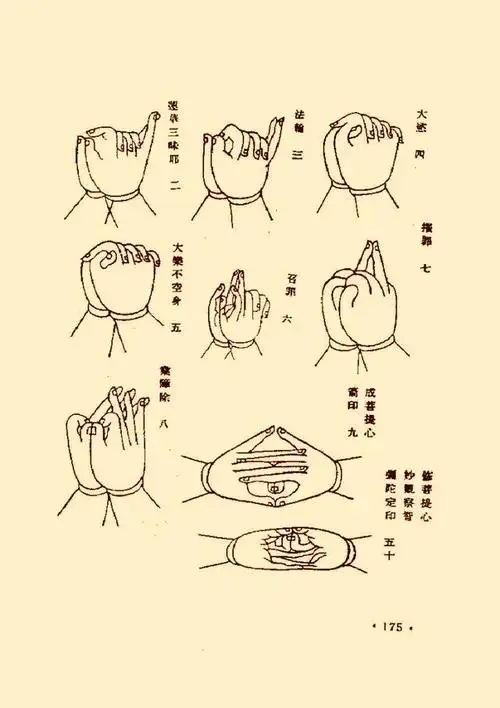 传统文化《佛家大手印》整理