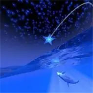 好看的唯美浪漫星空头像图片