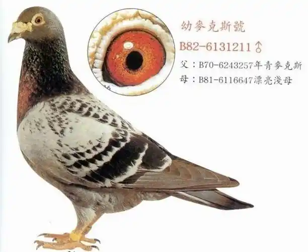 海霸王詹森研究中心