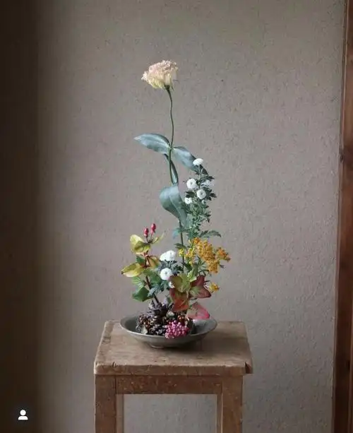 花与器之美,日本花艺师hana_narai的作品