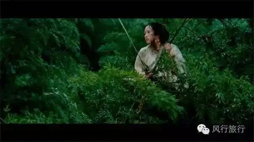 当电影卧虎藏龙遇见四川美景蜀南竹海