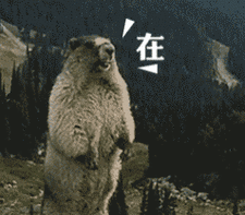 在 - 土拨鼠呐喊表情包_斗图_动图_呐喊_土拨鼠表情