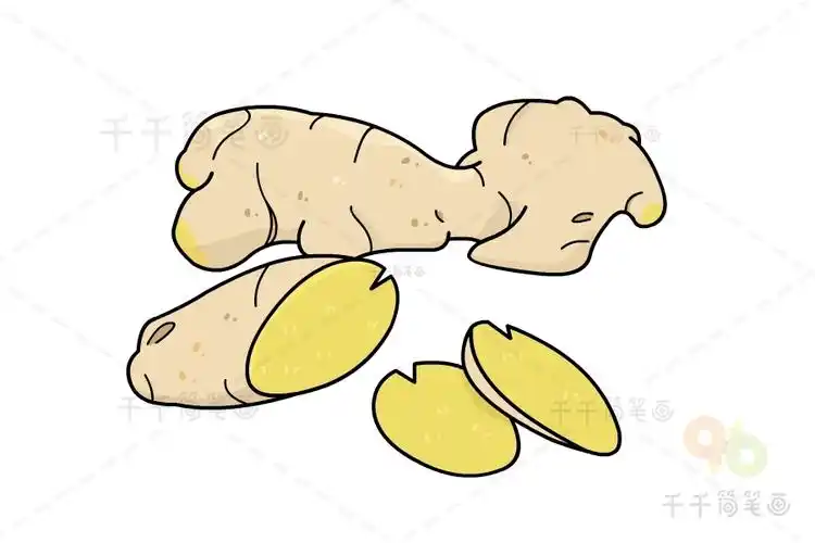 新鲜的生姜简笔画图片