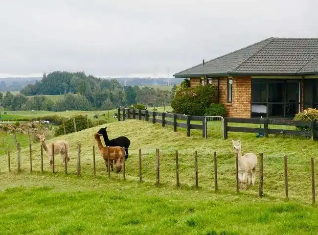 现实版"开心农场"?静海这17家拟获天津示范!|小木屋_网易订阅