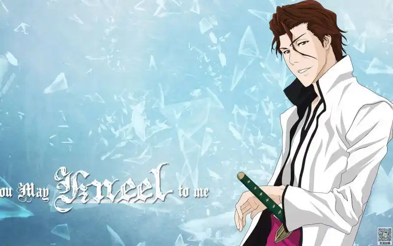 死神 镜花水月 斩魄刀斩魄刀 cos动漫道具刀伞 蓝染惣右介 未开刃