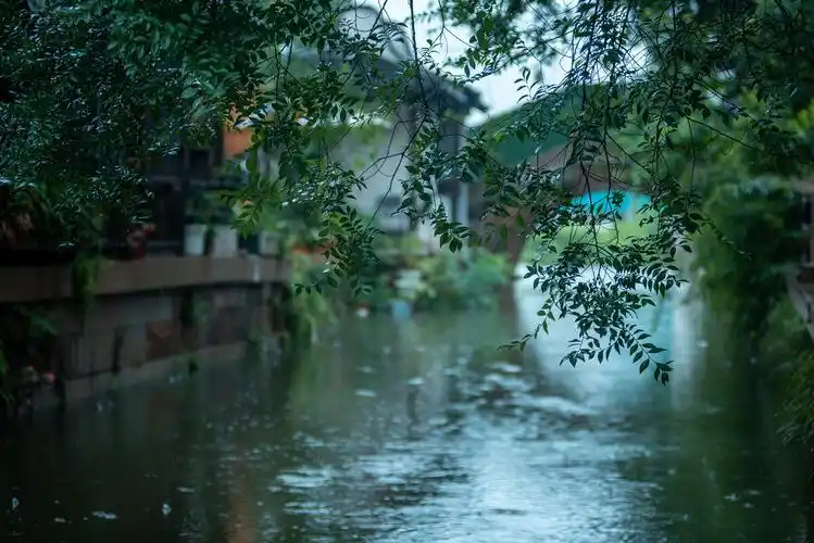 江南的梅雨,会带你来到那条深深的雨巷,那条一直延伸到路尽头的雨巷.