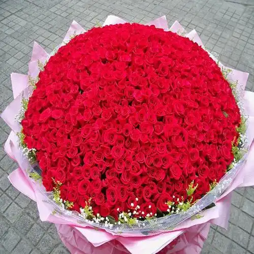 999朵玫瑰花