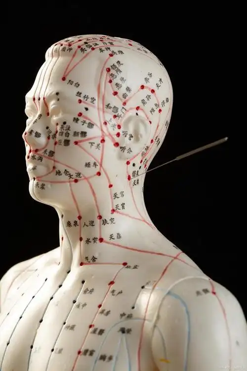 针灸  燮理  阴和阳