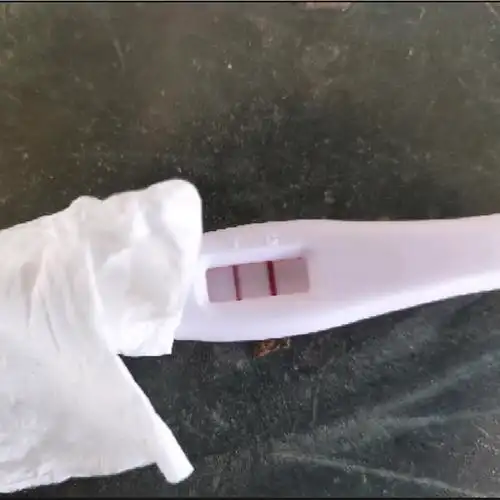 今早测的晨尿,月经推迟算今天是第三天了