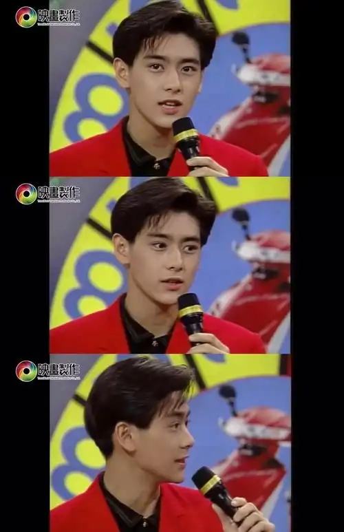 林志颖年轻时候真的很无敌脸霸