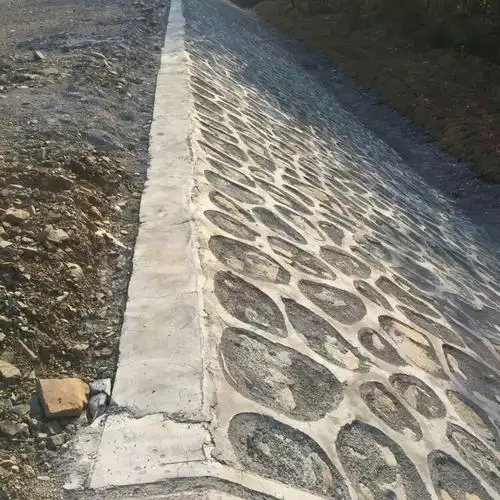 已完成的浆砌护坡.