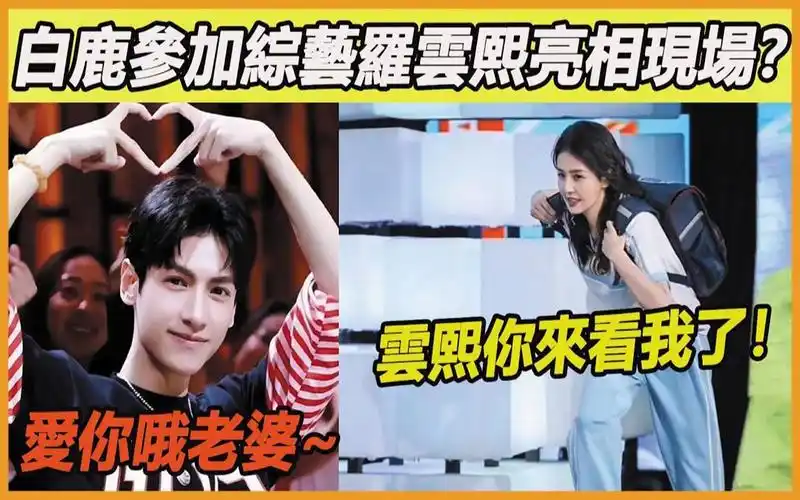 私下偷偷去看老婆节目,白鹿罗云熙你们还有什么瞒著我们