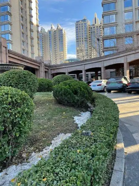 棕榈泉国际公寓,公园南路8号-北京棕榈泉国际公寓二手房,租房,房价