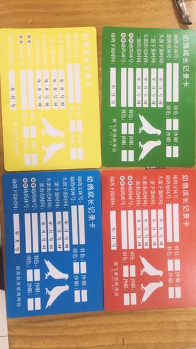 爱飞客信鸽用品幼鸽成长记录卡登记卡