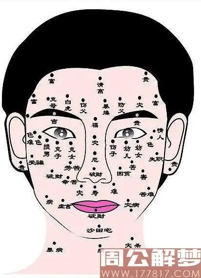 面相痣图解  面相痣图解	  		  男人脸上长痣面相图	  		  女人脸上长
