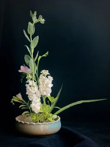 插花泰国洋兰小苍兰洋牡丹