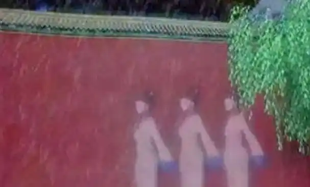 1992年故宫宫女魅影灵异事件视频是真的吗是怎么回事始末详情真相来龙