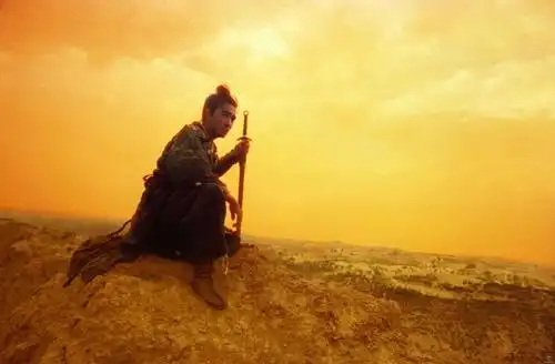 时间的灰烬沉溺的极致评东邪西毒